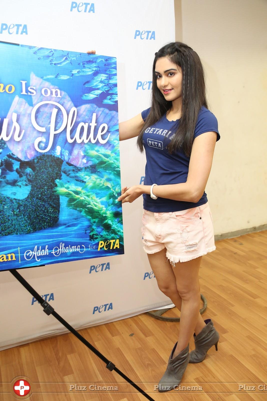 Adah Sharma - Adah Sharma at PETA Event Photos | Picture 786403