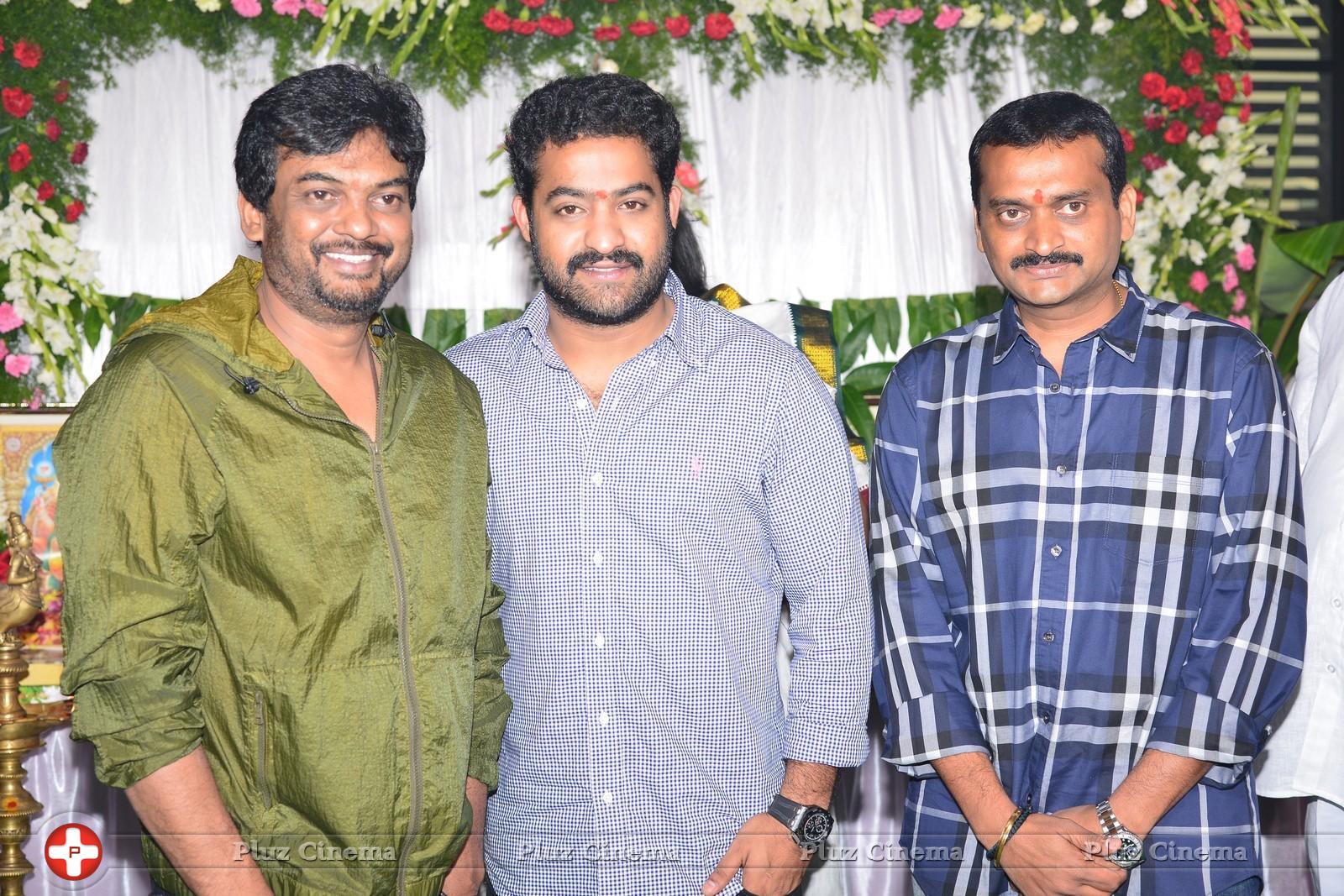 Jr NTR and Puri Jagannath New Movie Launch Photos | Picture 786680