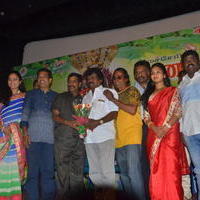 Vana Bathrakaali Movie Audio Launch Photos | Picture 1404206