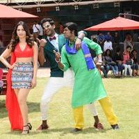 Kaththi Sandai Movie Latest Gallery | Picture 1430608