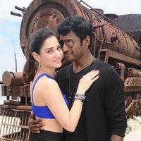 Kaththi Sandai Movie Latest Gallery | Picture 1430610
