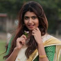 Ashima Narwal Latest Gallery | Picture 1423753