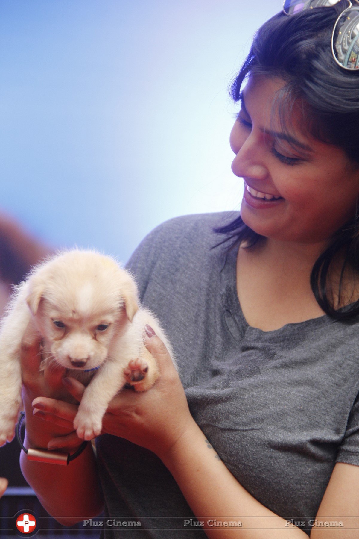 Varalaxmi Sarathkumar Initiates Adoptathon Photos | Picture 1425784