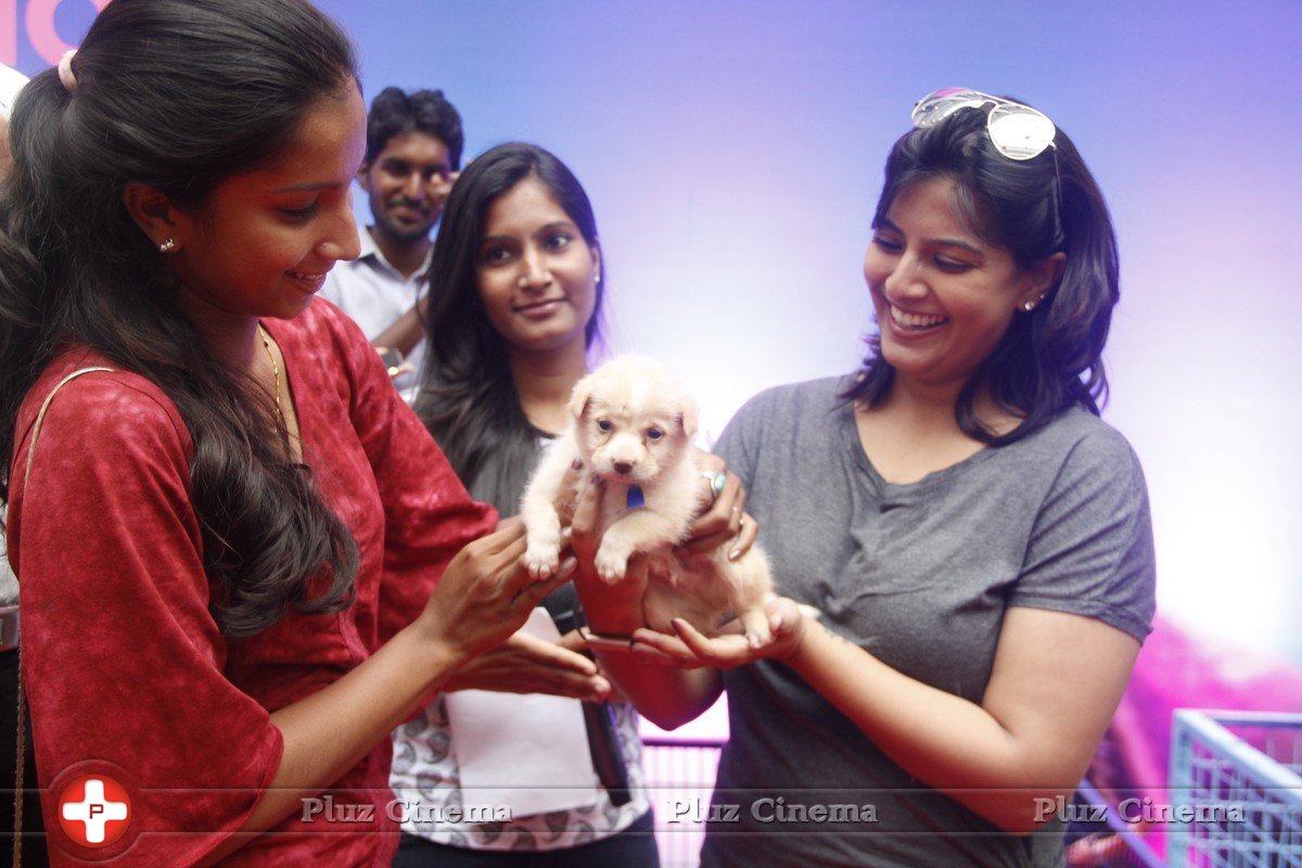 Varalaxmi Sarathkumar Initiates Adoptathon Photos | Picture 1425788