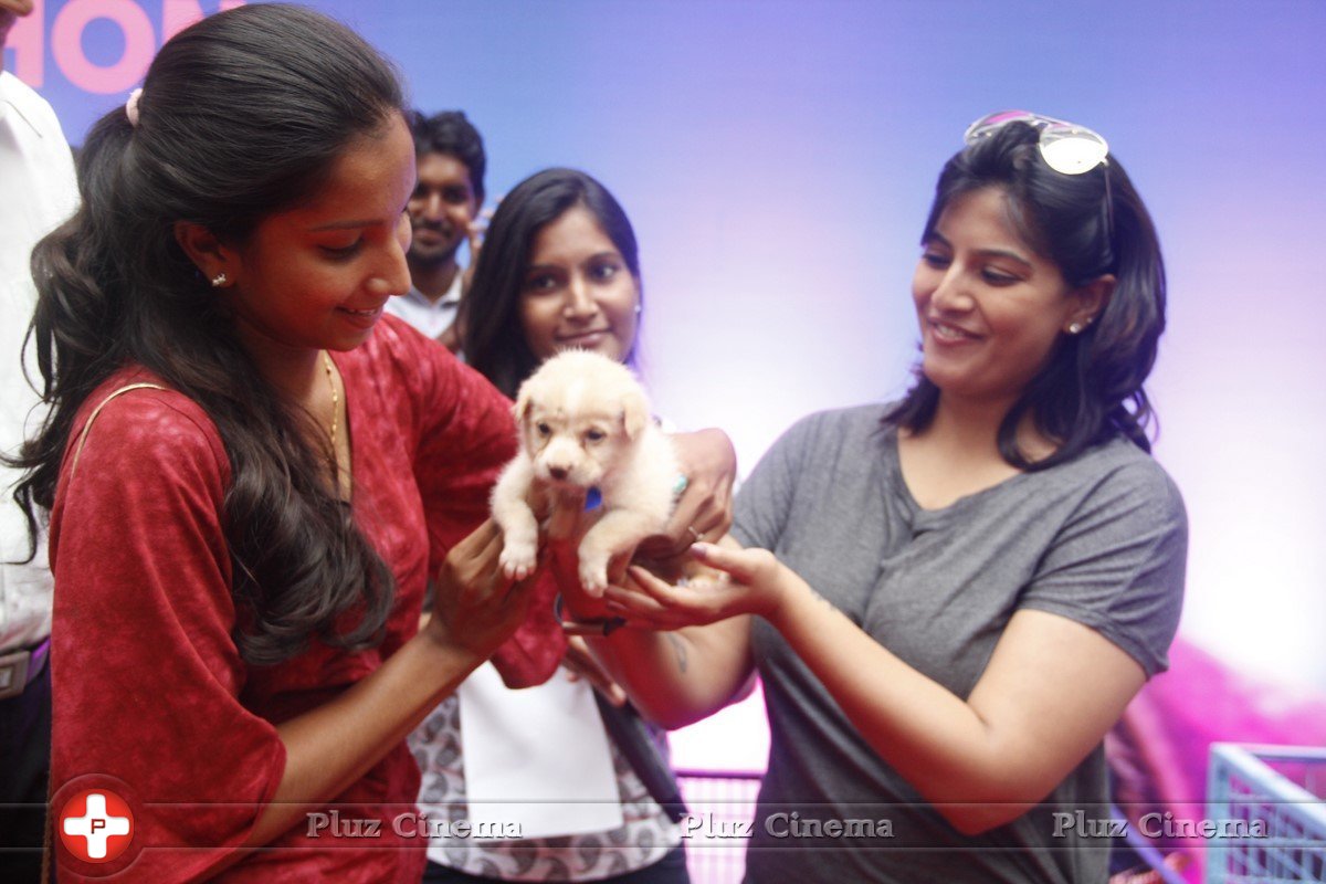 Varalaxmi Sarathkumar Initiates Adoptathon Photos | Picture 1425789