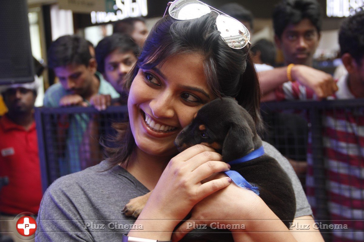 Varalaxmi Sarathkumar Initiates Adoptathon Photos | Picture 1425793