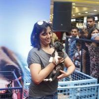 Varalaxmi Sarathkumar Initiates Adoptathon Photos | Picture 1425775