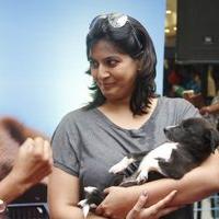 Varalaxmi Sarathkumar Initiates Adoptathon Photos | Picture 1425778