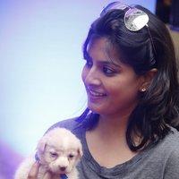 Varalaxmi Sarathkumar Initiates Adoptathon Photos | Picture 1425781