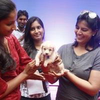 Varalaxmi Sarathkumar Initiates Adoptathon Photos | Picture 1425788