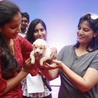 Varalaxmi Sarathkumar Initiates Adoptathon Photos | Picture 1425789