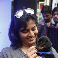 Varalaxmi Sarathkumar Initiates Adoptathon Photos | Picture 1425792