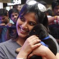 Varalaxmi Sarathkumar Initiates Adoptathon Photos | Picture 1425793