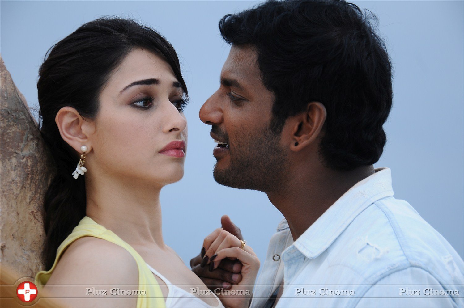 Kathi Sandai Movie New Gallery | Picture 1426644
