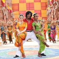 Kathi Sandai Movie New Gallery | Picture 1426646