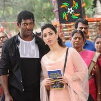 Kathi Sandai Movie New Gallery | Picture 1426648
