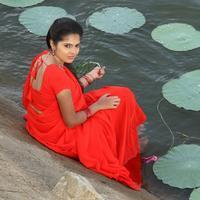 Shravya (Actress) - Pagiri Movie Latest Gallery | Picture 1410656