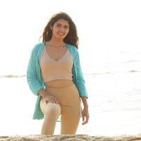 Ashima Narwal Latest Photos | Picture 1416878