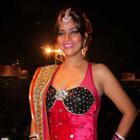 Tanisha Singh - Celebs attends Garba dance program photos
