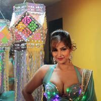 Tanisha Singh Hot Diwali Photo shoot Gallery | Picture 619421