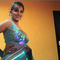 Tanisha Singh Hot Diwali Photo shoot Gallery | Picture 619426