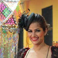 Tanisha Singh Hot Diwali Photo shoot Gallery | Picture 619431