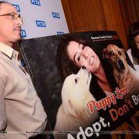 Raveena Tandon at launch of PETA's dog adoption campaign Photos | Picture 570538