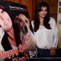Raveena Tandon at launch of PETA's dog adoption campaign Photos | Picture 570540