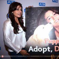 Raveena Tandon at launch of PETA's dog adoption campaign Photos | Picture 570544