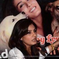 Raveena Tandon at launch of PETA's dog adoption campaign Photos | Picture 570546