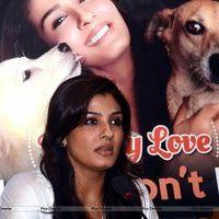 Raveena Tandon at launch of PETA's dog adoption campaign Photos | Picture 570547