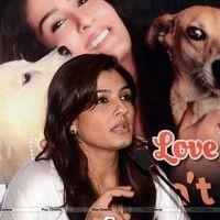Raveena Tandon at launch of PETA's dog adoption campaign Photos | Picture 570549