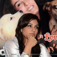Raveena Tandon at launch of PETA's dog adoption campaign Photos | Picture 570551