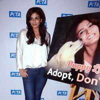 Raveena Tandon at launch of PETA's dog adoption campaign Photos | Picture 570553