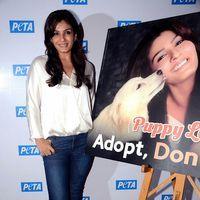 Raveena Tandon at launch of PETA's dog adoption campaign Photos | Picture 570555
