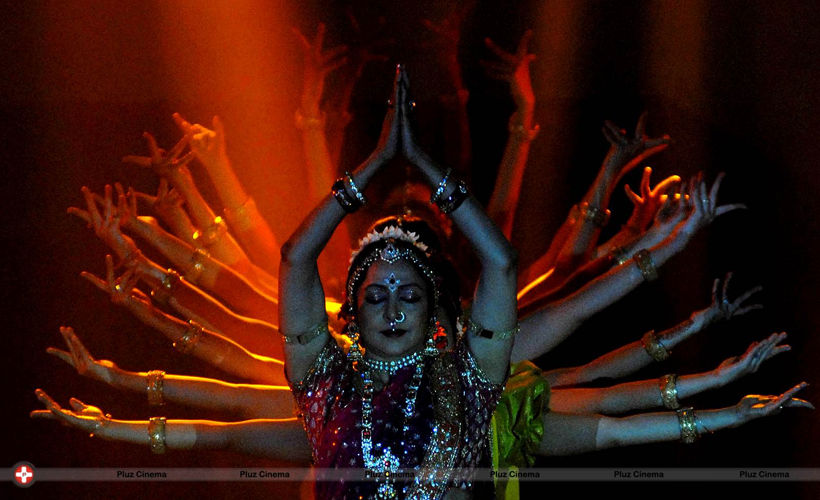 Pune Festival 2013 Photos | Picture 571828