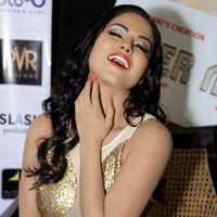 Veena Malik during Press conference of film Real Life of Super Model Photos | Picture 577794