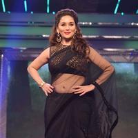 Madhuri Dixit - Bollywood stars walk the ramp for Yash Chopra tribute photos | Picture 587810