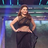 Madhuri Dixit - Bollywood stars walk the ramp for Yash Chopra tribute photos | Picture 587813