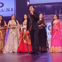 Bollywood stars walk the ramp for Yash Chopra tribute photos | Picture 587842