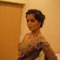 Meghna Patel in Saree Photos | Picture 915875