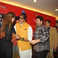 Amitabh Bachchan launches Shadab Amjad Khan's book Murder in Bollywood Photos | Picture 1062815
