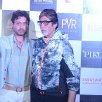 Big B, Deepika Padukone, Irrfan at film Piku Trailer Launch Photos | Picture 1001503