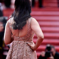 Aishwarya Rai at Cannes Film Festival Photos | Picture 1315900