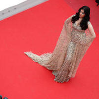 Aishwarya Rai at Cannes Film Festival Photos | Picture 1315913