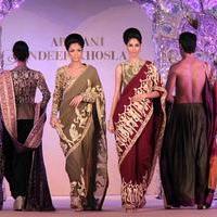 Abu Jani Sandeep Khosla presents The Golden Peacock fashion show photos | Picture 600220