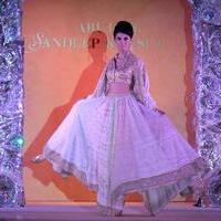 Abu Jani Sandeep Khosla presents The Golden Peacock fashion show photos | Picture 600225
