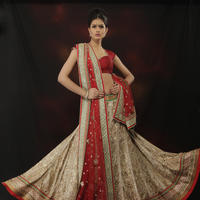 Go Glamorous On Your Special Day With Chhabra 555 Bridal Range Photos | Picture 591533