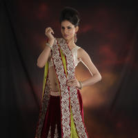 Go Glamorous On Your Special Day With Chhabra 555 Bridal Range Photos | Picture 591534