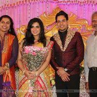 Bharat Jeshly Marriage Reception Photos | Picture 573099
